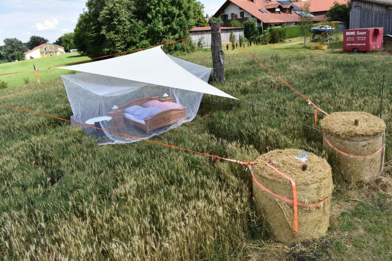 Open Air, Bett Im Kornfeld Hotel Finning Bagian luar foto