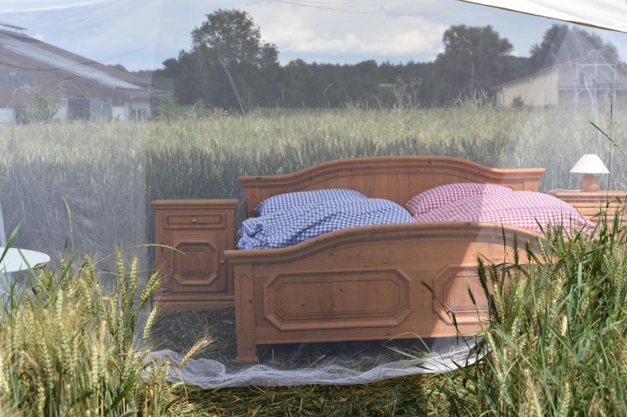 Open Air, Bett Im Kornfeld Hotel Finning Bagian luar foto